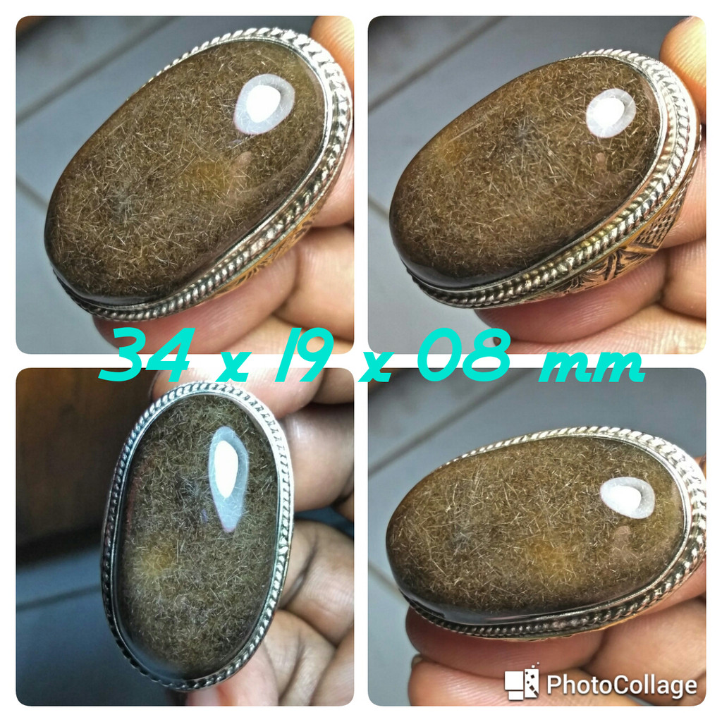 Bulu Macan Lumajang Asli Big Size Jenis Bulu Duri Bayam Goyang Matrix 3D Rare Item
