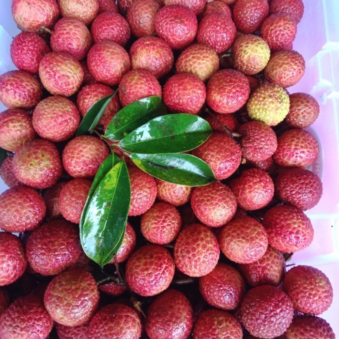

Red Lychee /Buah Lychee/Leci Merah per KG