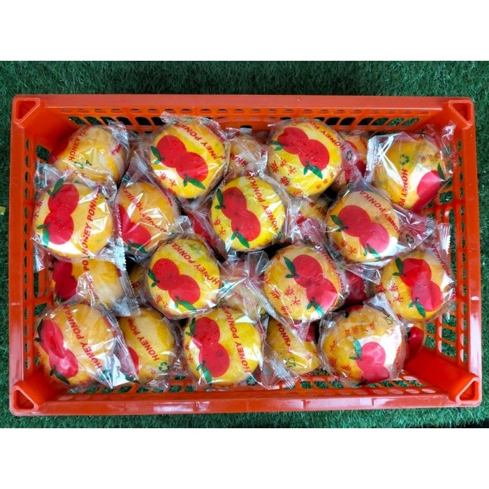 

Jeruk Honey Ponkam RRC 8 kg / box