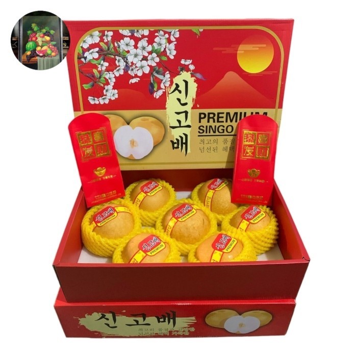 

PEAR KOREA SINGO ASLI PREMIUM FRESH IMPORT PER BUAH