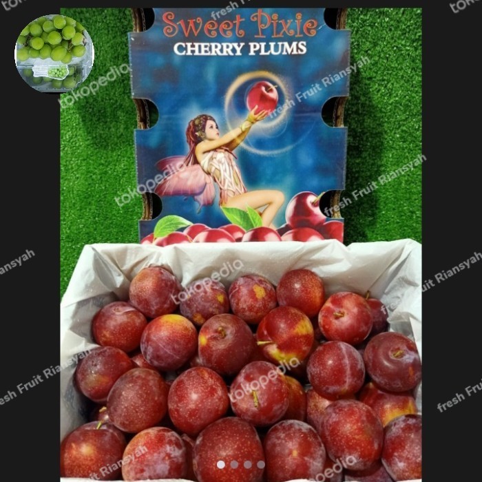 

buah cherry plum australia