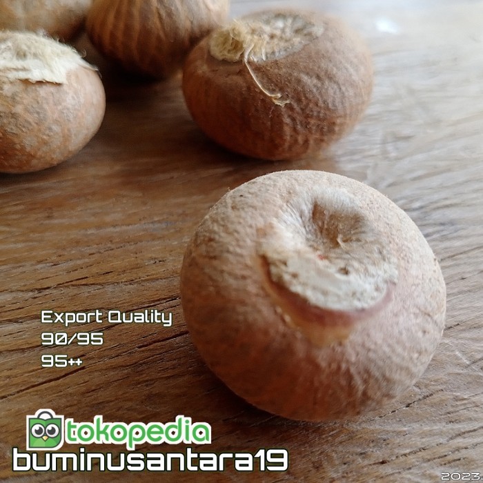 

Biji Pinang Bulat / Klotok Kering