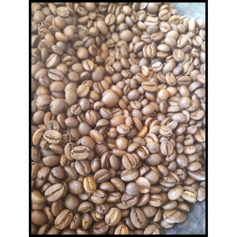 

Tokkopitok 1000 Gram Roasted Bean Kopi Arabica Puntang Natural Original Best Quality
