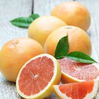 Grapefruit essential oil minyak grapefruit