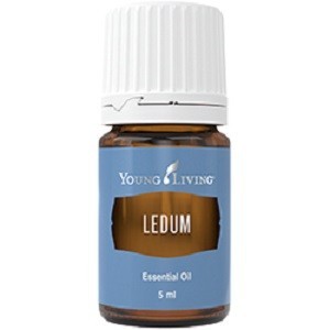 Oil YL Ledum 5 ml