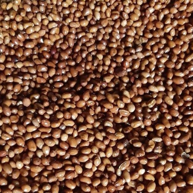 

Kacang giling ukuran 1kg