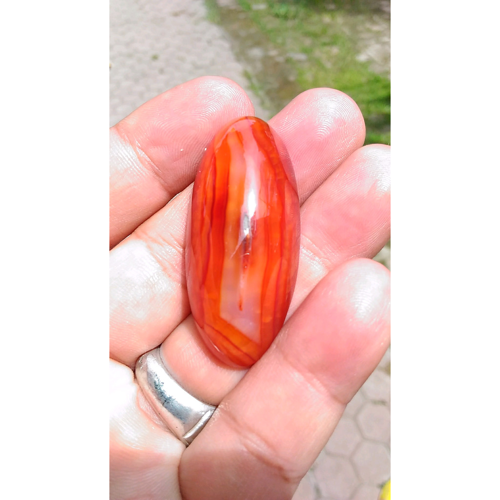 Pandan Merah Size Rudal Motif Kantong Semar Tembus