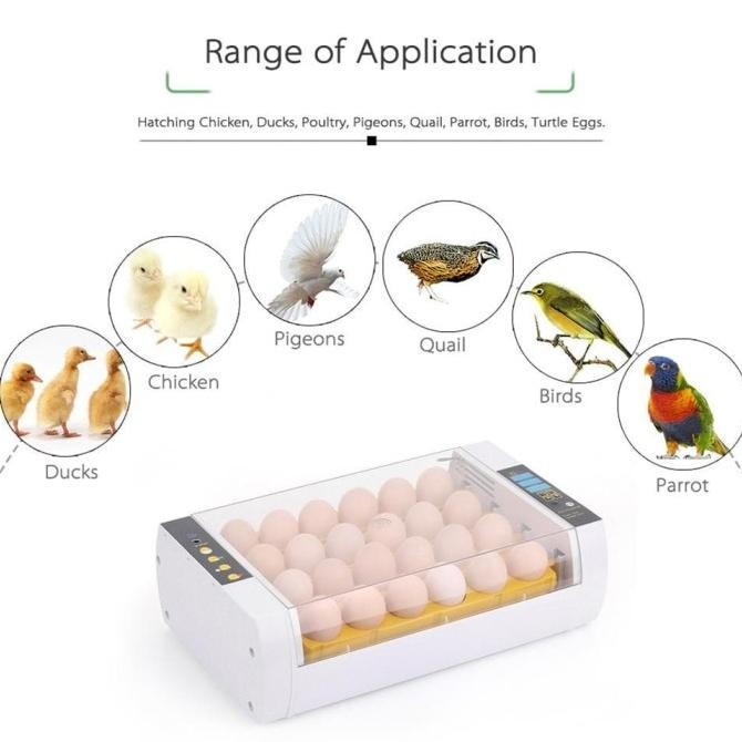 Mesin Alat Penetas Tetas Telur Digital 24 egg incubator Full Otomatis