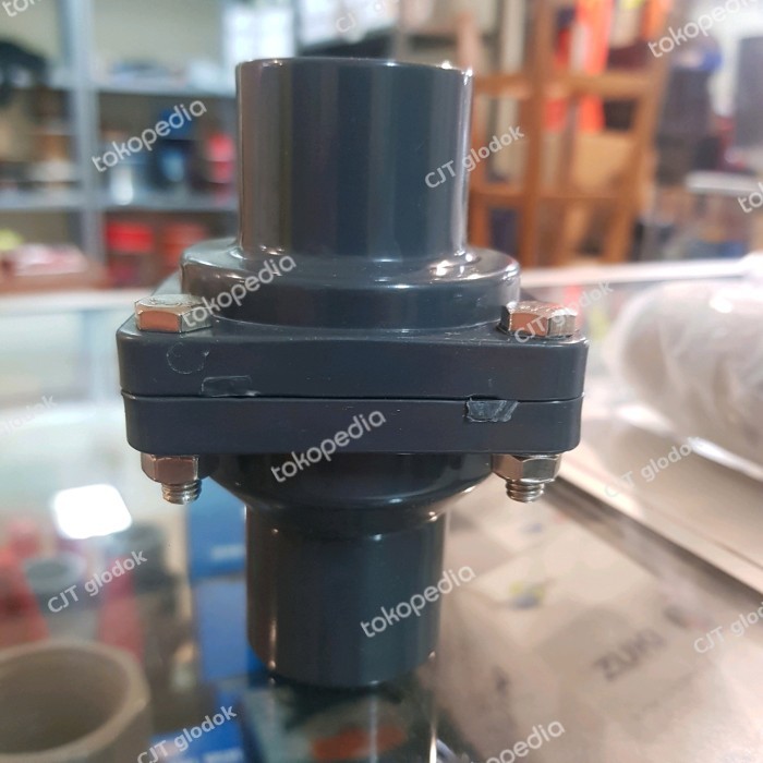 swing check valve pvc 3/4 " inch