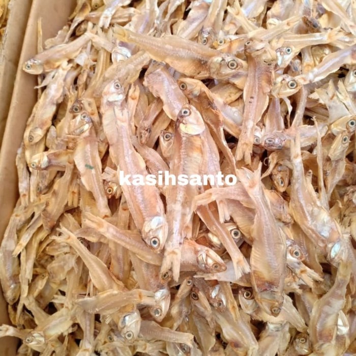 

TERI TAWAR GELAGA JUMBO-500GRAM