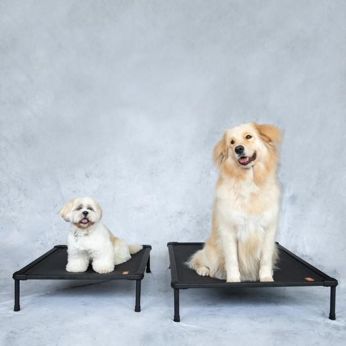 Hits The Duracot (Large) -- Elevated Dog Bed (Pet Cot, Tempat Tidur Hewan)