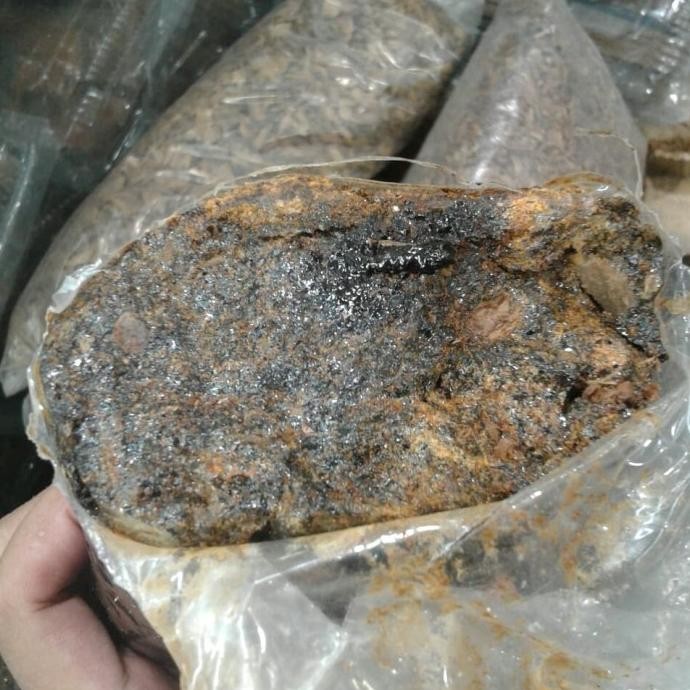 Getah pohon kayu gaharu ASLI KALIMANTAN ( limited edition )
