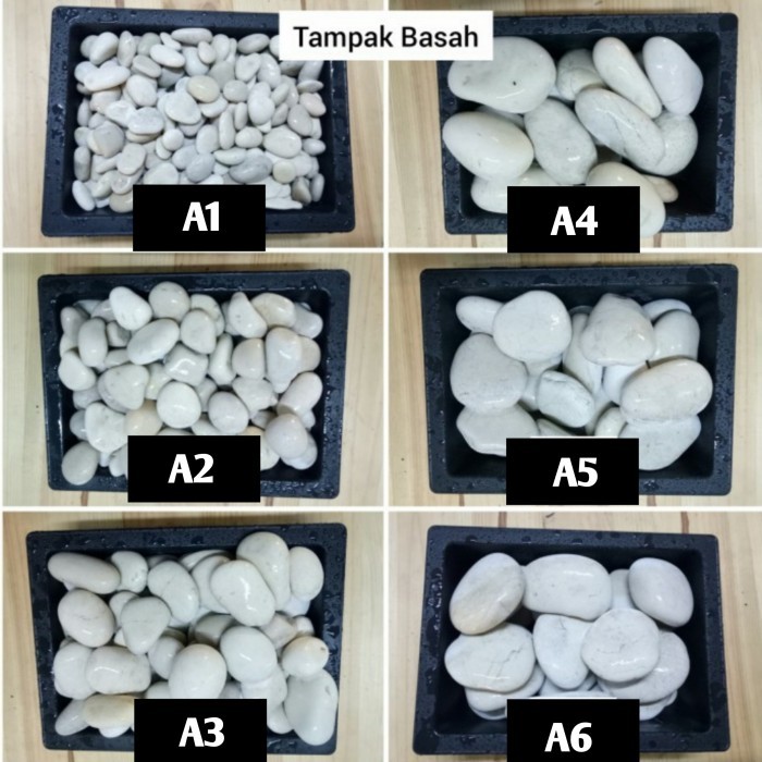 Batu Koral Putih Kupang/Batu Hias