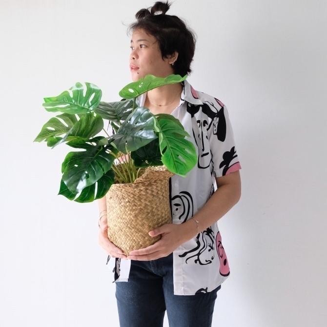 tanaman plastik monstera