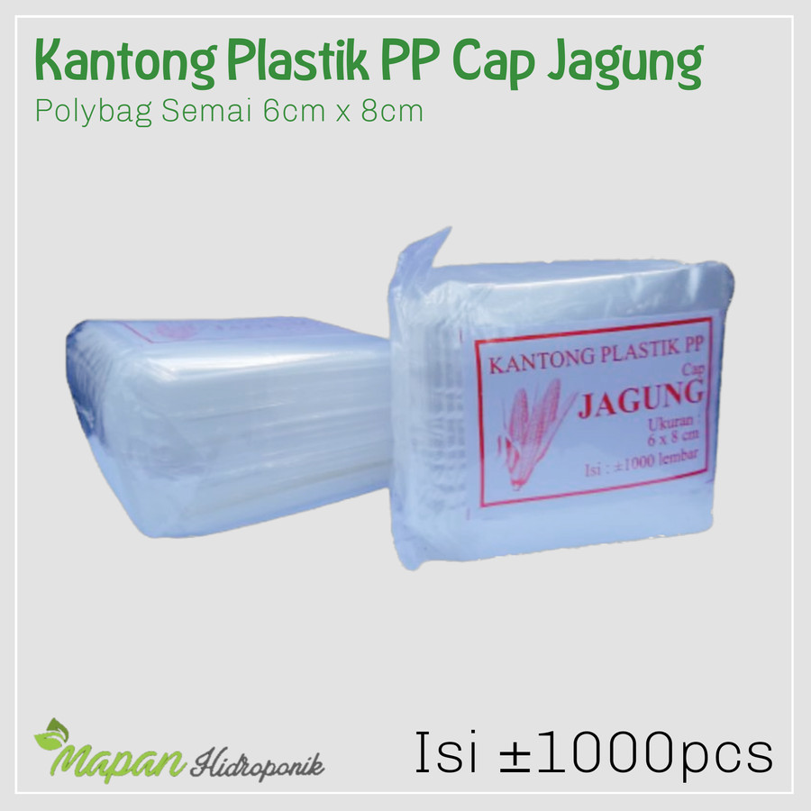 Kantong Kantung Plastik PP Polybag Polibag Semai Benih 6 x 8 cm Tumbuh