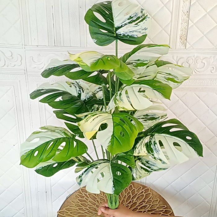 Tanaman Hias Monstera Variegata Artificial Pot Tawon Besar #Gratisongkir #Sale #Discount