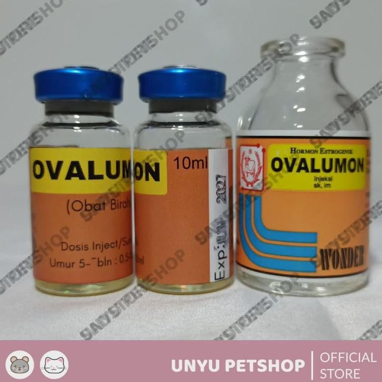 rwet-23 Testohormon inject obat stamina kawin hewan peliharaan FREE 1pcs Suntikan Termurah