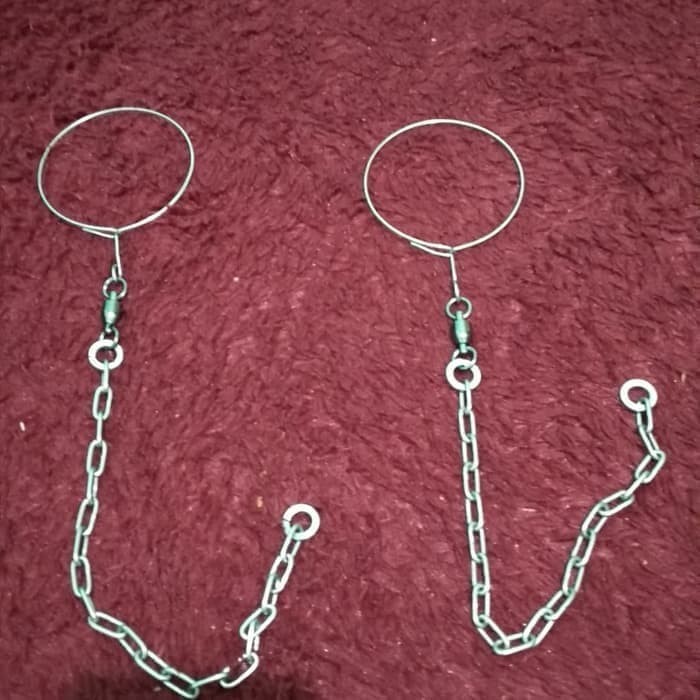 Rantai Afgrey / Macaw / Kakatua