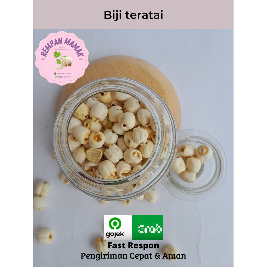

BIJI TERATAI / LOTUS SEED / LIEN ZI 500GR / LIENCI