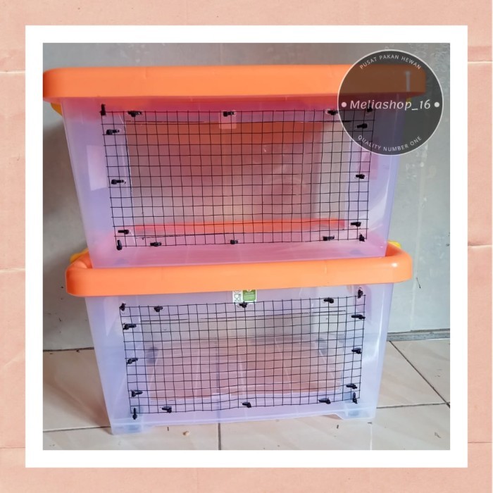 TERBARU Kandang Reptil, Hamster box container BISA GOSEND