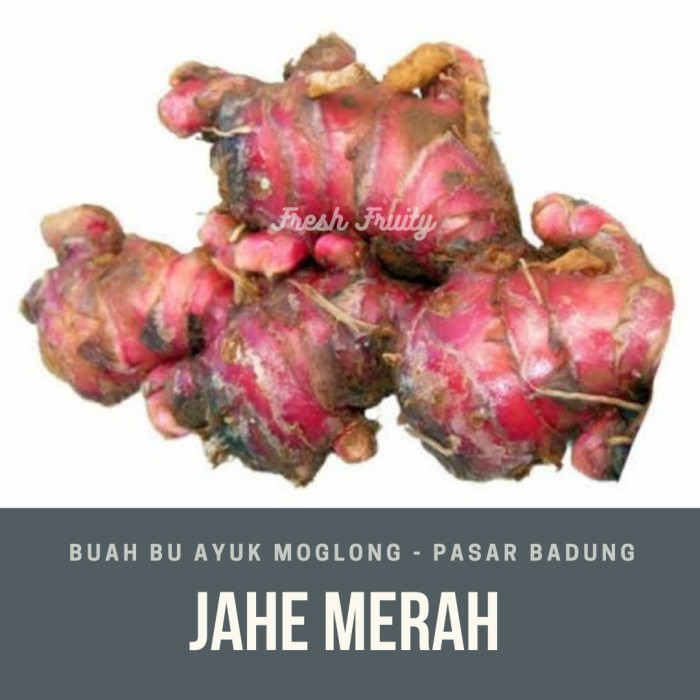 

GRATIS ONGKIR Jahe Merah Rempah