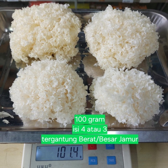 CUCI GUDANG Jamur Salju Viral 100 Gram Sambal/Bumbu Thailand / Jamur Es Viral / Jamur Putih Kering