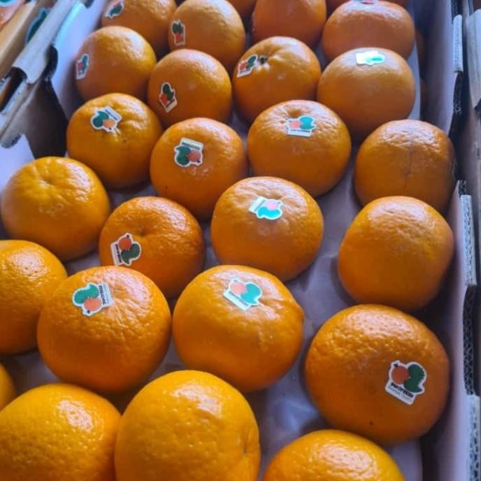 

SALE! JERUK WOGAN MANDARIN 1KG