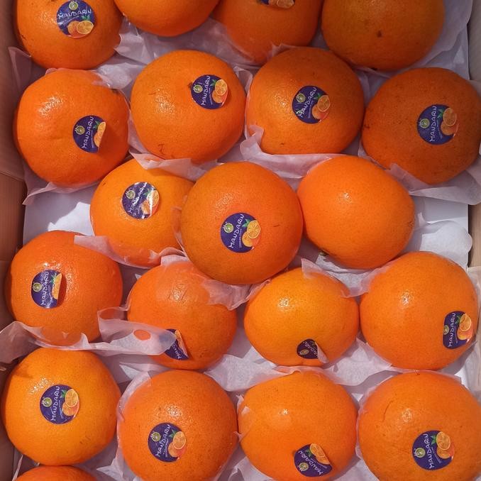 

SALE! JERUK MANDARIN WOKAM /KG