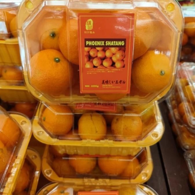 

SALE! JERUK PHOENIX SHANTANG FRESH 1 KG