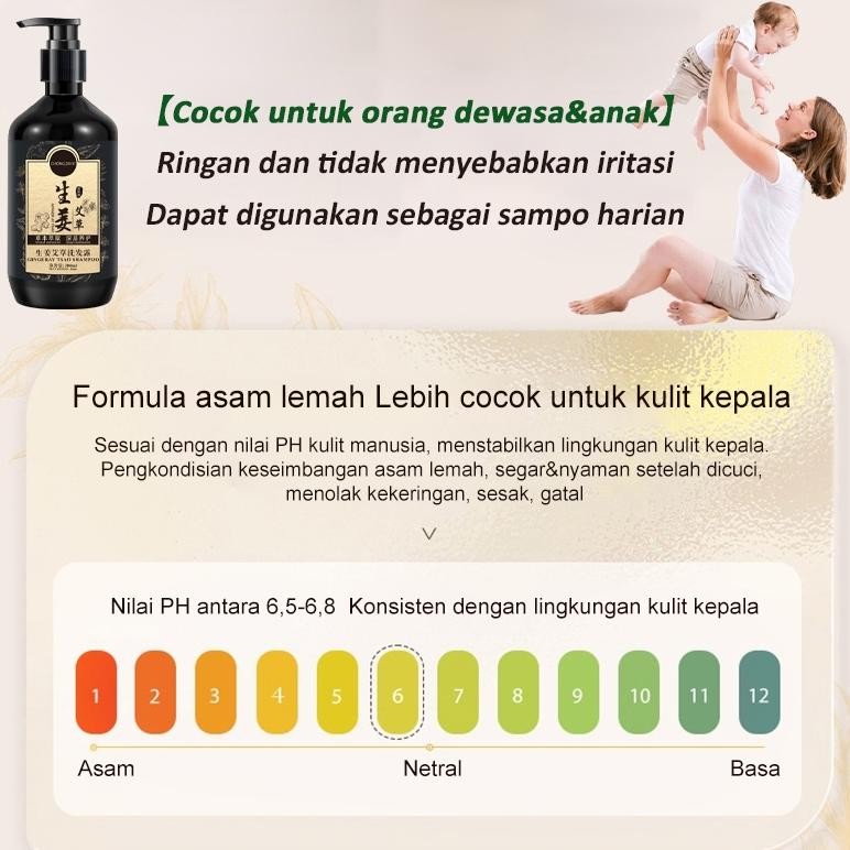 hjk Sampo Kutu Rambut Paling ampuh untuk Anak&Dewasa 300ml / Sampo Anti Ketombe / Pembersih Kulit Ke