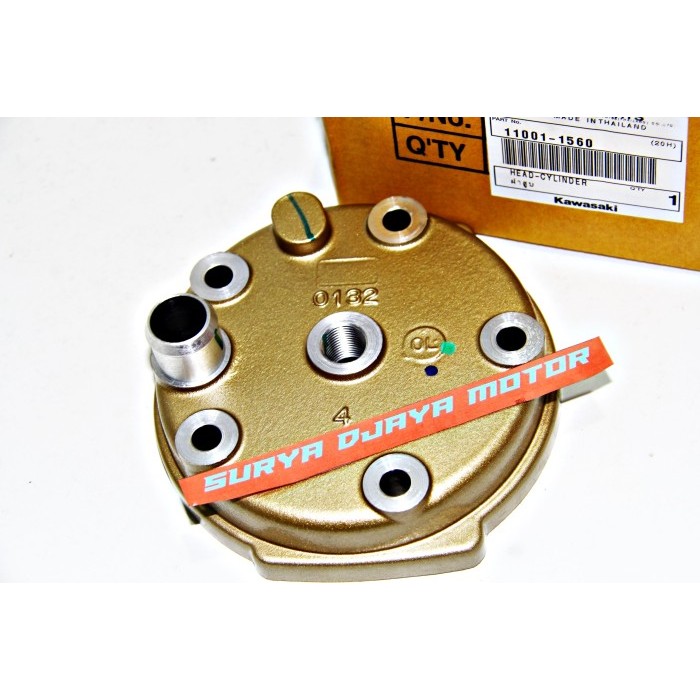 Blok Block Head Ninja R Rr S Ninja 2 Tak Gold 11001-1560 Ori Kawasaki