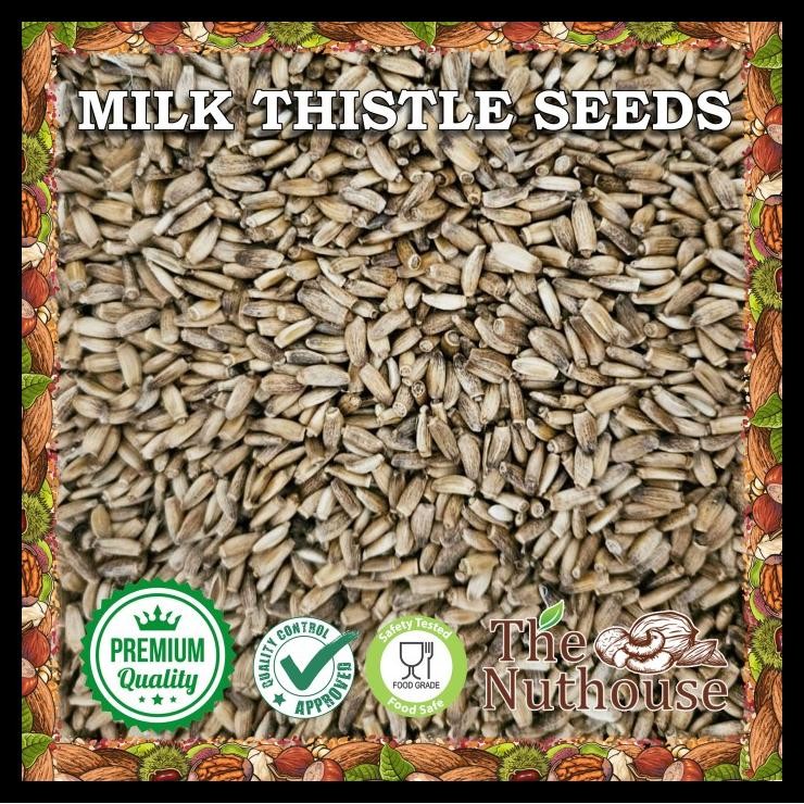 

terbaru !!! 1kg milk thistle seeds / biji silybum marianum kering ready