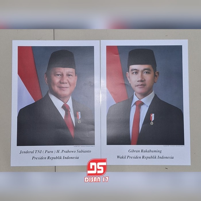 TERLARIS Foto presiden dan wakil presiden artcartoon