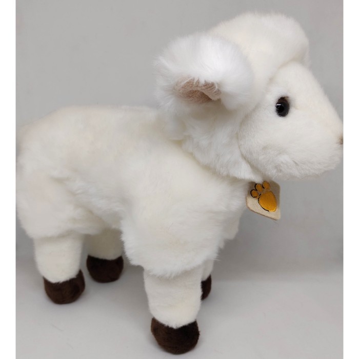 

BONEKA DOMBA/POLAR BEAR/MONYET/BELUT MONSTER (M)