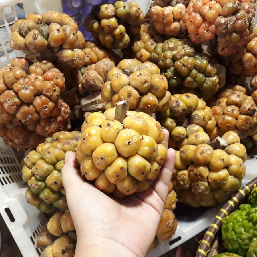 

Asam Cikala cekala Medan 100gram