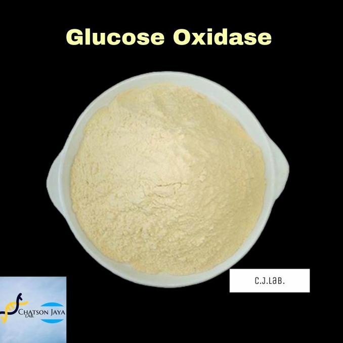 

Enzim Glucose Oxidase Powder 45 gr-Enzim Glukosa Oksidase 45 gr