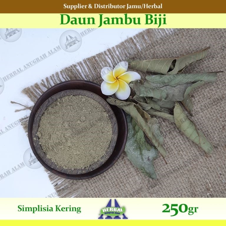 Daun Jambu Biji (Kering) 250Gr | Psidium Guajava | Klutuk - 100% Murni #Herbal