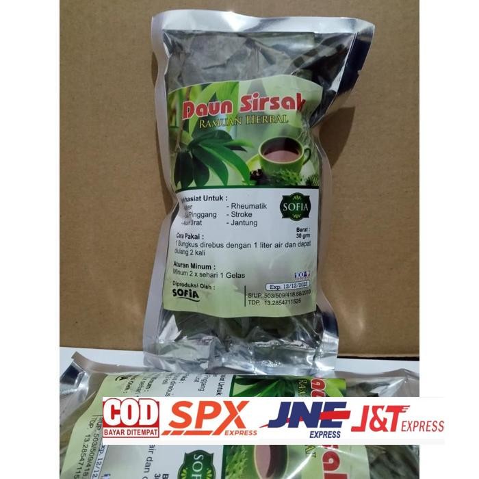 

Promo Teh Herbal Daun Sirsak (Foil Abbas) Efektif Mengatasi Kanker Daun Herbal Kalimantan