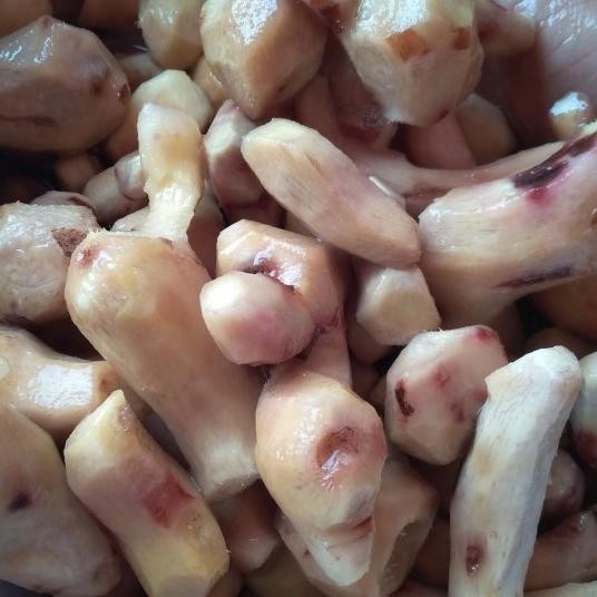 

Jahe Merah Kupas 1Kg