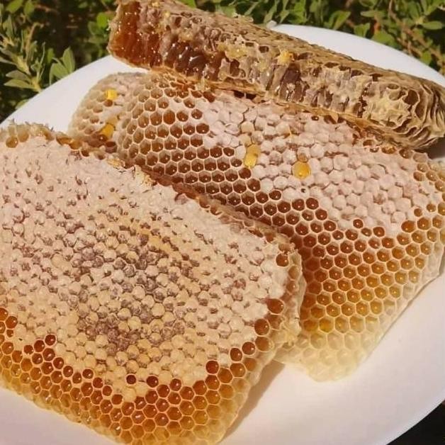 

Terpercaya Madu Sarang Asli 100% Tanpa Campuran 500Gr | Sarang Madu Hutan Raw & Murni Malivera Premium