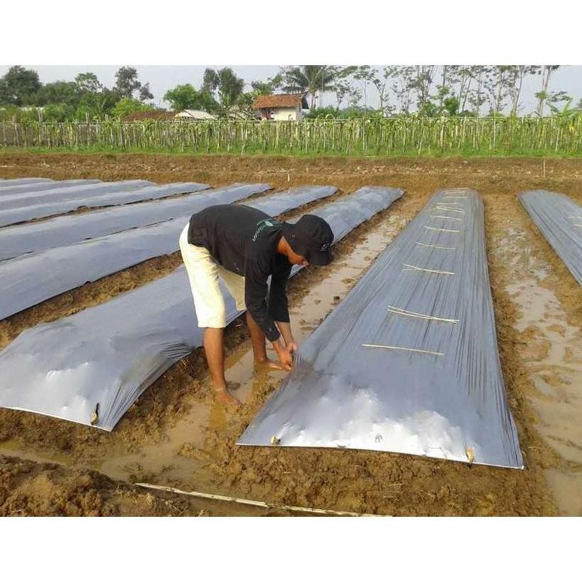 Super Diskon Plastik Mulsa 160 Cm 1 Meter Plastik Mulsa Hitam Perak Gfd-12