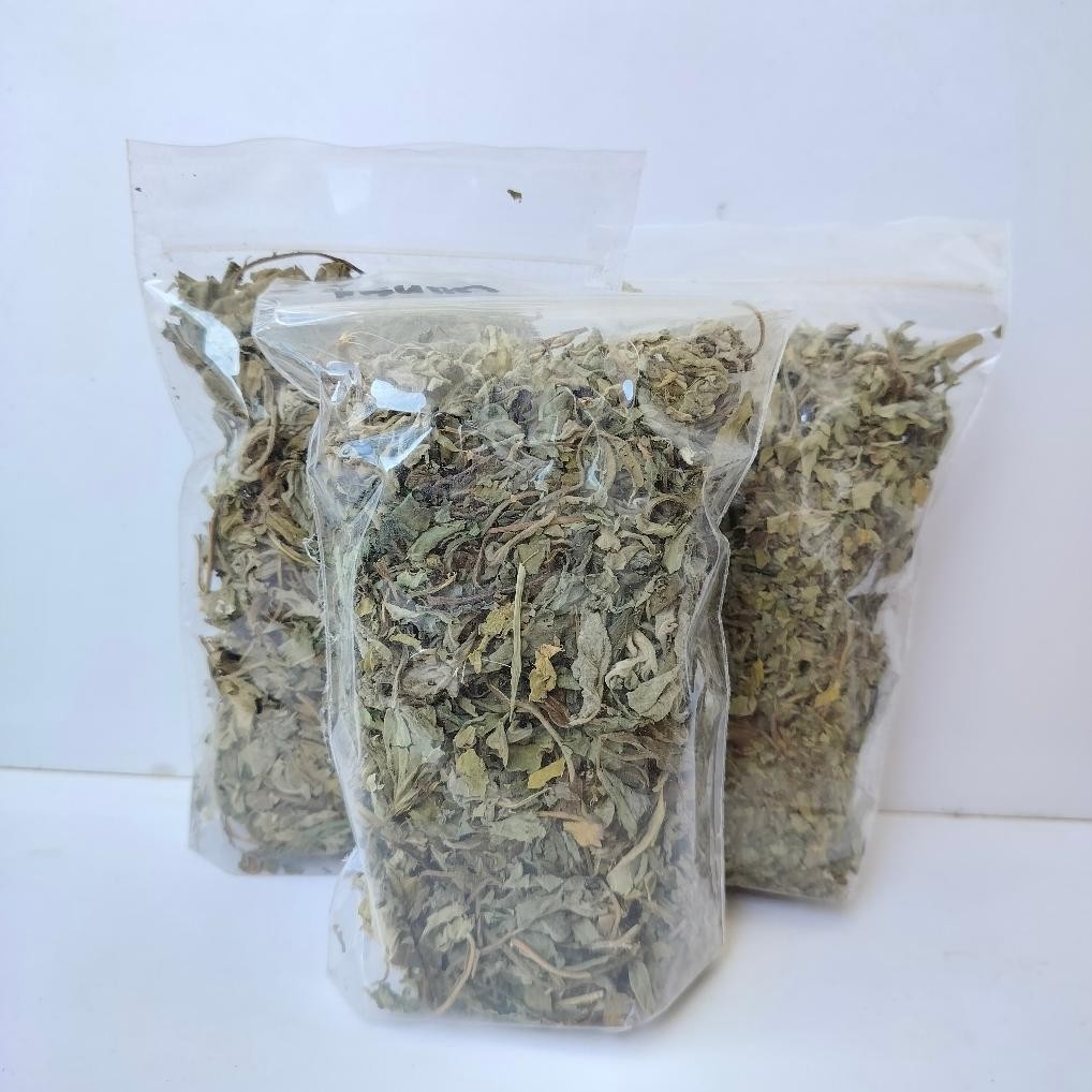 

Kualitas Tertinggi New Arrival Daun Insulin Kering - Herbal Untuk Diabetes Daun Herbal Segar Aman Terbaik