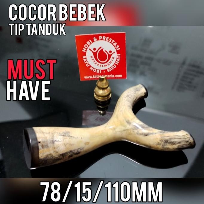 Ketapel Cagak Natural Kayu Pete - Jarang Ada  Ready