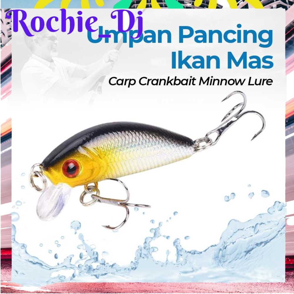 UMPAN PANCING IKAN MAS CARP CRANKBAIT MINNOW LURE 50MM - LD07