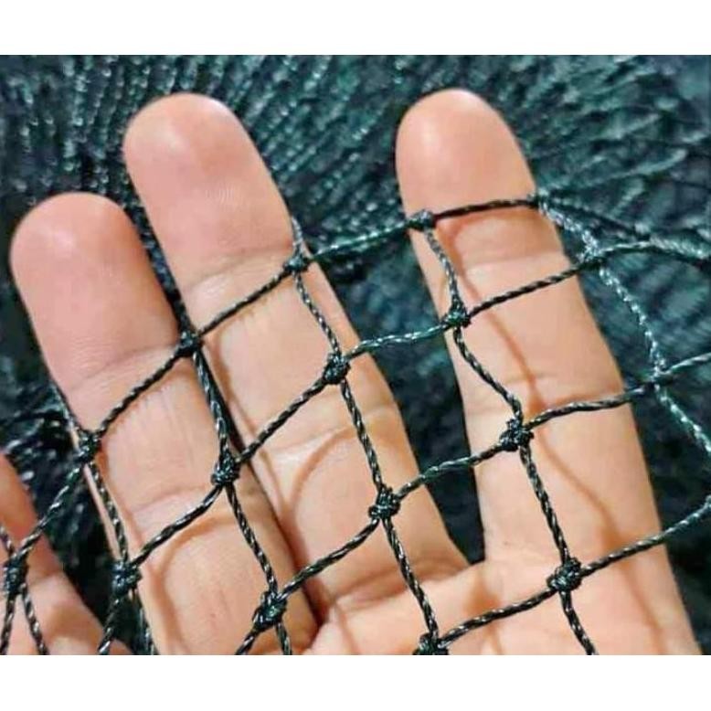Promo Viral Jaring Pagar Ayam Lubang 1 Cm/ Jaring Serbaguna / Jaring Kandang / Jaring Bisa Cod