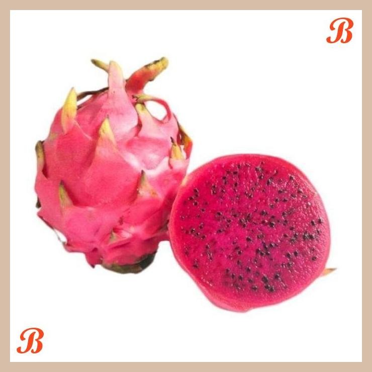 

| NN | BUAH NAGA MERAH NATURAL 1PC ( 700-800GR )