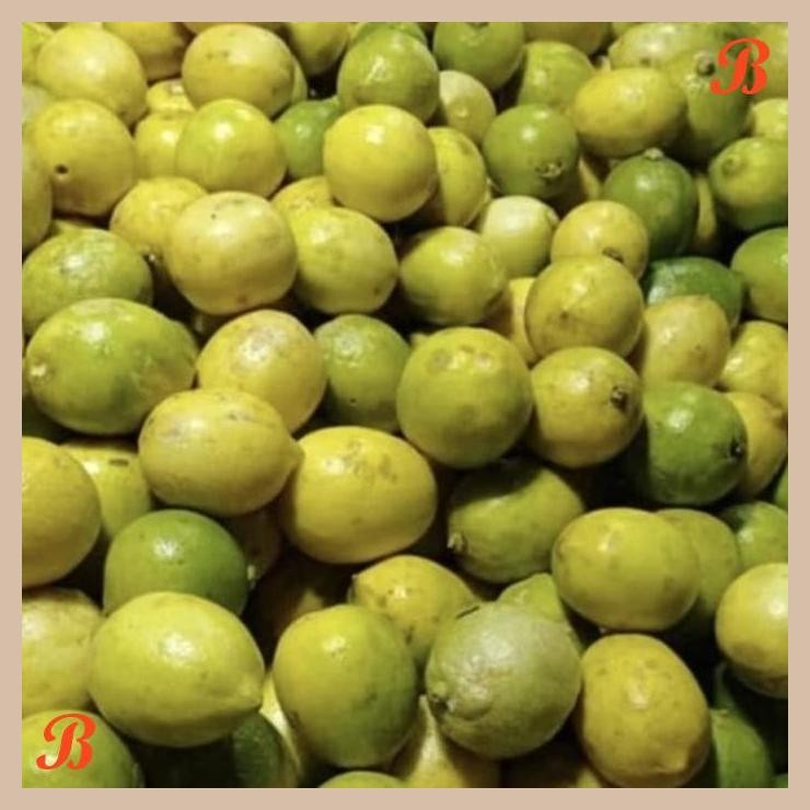 

| NN | LEMON LOKAL ORGANIK 250 GR