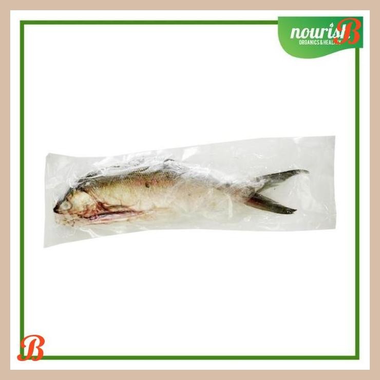 

| NN | IKAN BANDENG FROZEN 500GR
