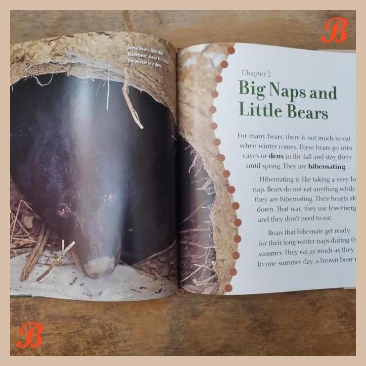 

| ADT | BUKU IMPORT BEARS