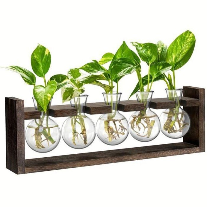 POT VAS KACA GANTUNG TANAMAN AIR 5 POT